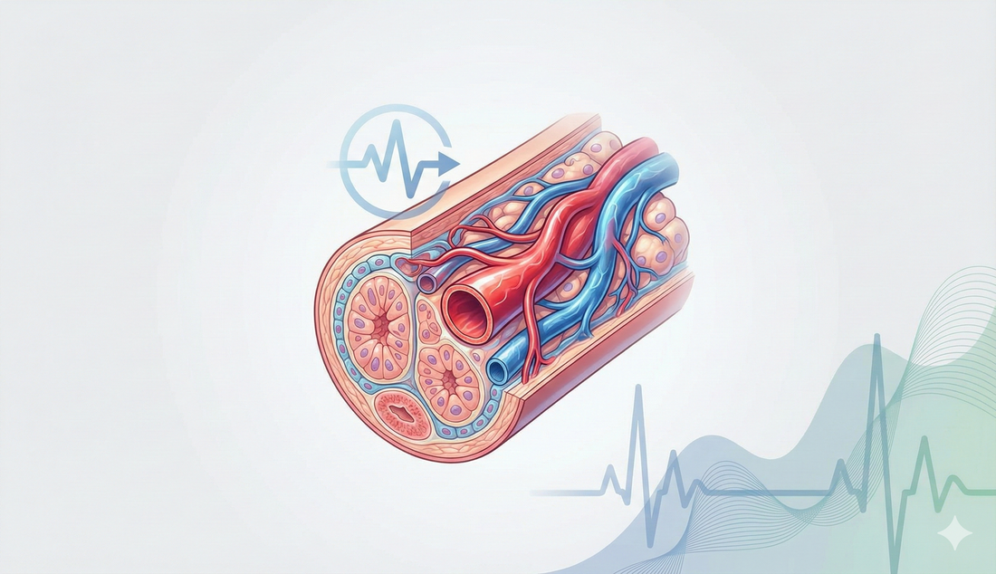 A comprehensive analysis of erectile dysfunction prevalence and the impact of prostate conditions on ED among US adults: evidence from NHANES 2001-2004
